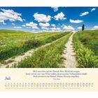 Mich ausrichten auf den Himmel: Mein Blick-Feld reinigen... - Juli - Blühende Landschaft mit Weg, blauer Himmel, Wolken.