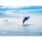 „Groß sind die Werke des Herrn; wer sie erforscht, der hat Freude daran.“ - Psalm 111:2. Ein Wal springt aus dem Wasser.