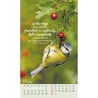 Text: "Gottes Auge blicke auf dich, freundlich und sanftmütig, hell und großzügig zu jeder Stunde des Tages und der Nacht." Darunter ein Kalender für Mai. Ein Vogel sitzt an einem Ast mit roten Beeren.