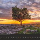 Kalenderseite für Mai. Baum im Sonnenuntergang auf felsigem Gelände, darunter die Daten des Monats.