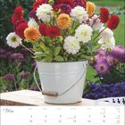 "Mai", ein Kalenderblatt, zeigt einen Eimer mit roten, weißen und orangefarbenen Dahlien vor grünem Hintergrund.