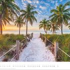 Mai; ein sandiger Weg führt durch Palmen zu einem sonnigen Strand.