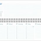 Text: "Januar", "Montag", "Dienstag", "Mittwoch", "Donnerstag", "Freitag", "Samstag", "Sonntag". Kalenderlayout mit Krokodilillustration.