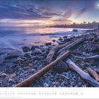 Kalenderseite mit "MAI" unten rechts. Küstenlandschaft bei Sonnenaufgang mit Treibholz und Kieselsteinen am Ufer.