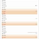 Text oben: "Name", Kalendarium mit Daten und Feiertagen im Mai.  
Illustration unten: Zwei Personen beim Check-In, Sprechblasen: "Haben Sie Handgepäck?" "Nur meinen Pillenkoffer."