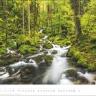Mai. Kalender zeigt einen Wald mit fließendem Bach, umgeben von üppigem Grün und Moos.