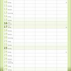 Kalender für Mai. Feiertage: 1 Maifeiertag, 9 Muttertag, 13 Christi Himmelfahrt, 23 Pfingsten. Unten: Kätzchen jagt einen Marienkäfer.