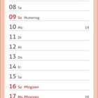 Kalender für Mai mit Feiertagen: 1. Maifeiertag, 6. Christi Himmelfahrt, 9. Muttertag, 16./17. Pfingsten, 27. Fronleichnam. Verspieltes Kätzchen jagt einen Marienkäfer.