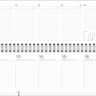 Kalenderseite: 11. bis 17. Januar, mit mehrsprachigen Tagesnamen. Oben Linien für Notizen, unten Mini-Kalender.