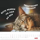 "BITTE WENDEN SIE SICH AN DEN NÄCHSTWACHEN KOLLEGEN!" Ein Kalender für Mai mit einem schlafenden Kätzchen auf einer Tastatur.
