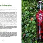 Links Beeren-Balsamico Rezept mit Zutaten und Hinweisen. Rechts Flasche mit roten Beeren auf Moos und Klee.