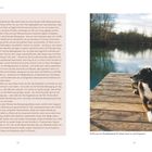 FALLGESCHICHTE AUS INGAS LEBEN. Smilla war ein Paradebeispiel für Stress durch zu viel Programm. Ein Hund entspannt an einem See.