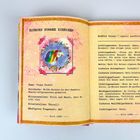 EINHORN NUMMER SIEBZEHN. Name: Pippa Pocket. Illustration eines Einhorns mit Regenbogenmähne, umgeben von Schmetterlingen.