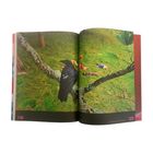 Seitenzahlen 118 und 119. Ein schwarzer Vogel sitzt auf einem Baum, darunter liegen mehrere Menschen im Gras.