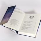 Zu sehen ist der Inhalt einer Buchseite mit Kapitelüberschriften wie: "EINFÜHRUNG", "AURORA UND IHR WAHRHAFTES ZUHAUSE".