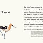 Titel: Vorwort. Text: Über 11.000 Vogelarten existieren, erstaunliche Vielfalt. Vögel nutzen Werkzeuge, singen, einige tanzen. Illustration eines Vogels.