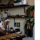 Shayna Dunkelman spielt Xylophon in einem Raum mit Musikinstrumenten und Pflanzen.