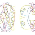 Seite 13, Seite 17, Seite 21 mehrfach in bunten Linien. Verspielte, ineinander verschlungene Zeichnung.