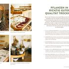 PFLANZEN IN RICHTIG GUTER QUALITÄT TROCKNEN: Anleitung zu Ort, Hilfsmitteln und Trocknungsdauer. Bilder von Kräutern im Trockenvorgang.