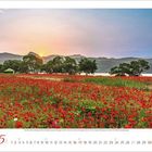 5, 6, 7, 13, 14, 15, 16, 20, 21, 22. Sonnenuntergang über einem Feld mit roten Blumen, Bäumen und Bergen im Hintergrund.