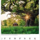 "Kalender unten für Mai 2023. Oben: Riesen-Baum mit Sonnenstrahlen durch die Äste und ein kleines Holzhaus im Grünen."