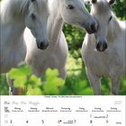 Mai 2027 Kalender; drei weiße Pferde im Vordergrund; grüner, bewaldeter Hintergrund.