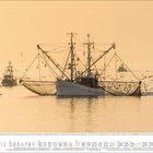 Mai, April; Krabbenfischkutter, Büsum, Schleswig-Holstein, Deutschland. Illustration zeigt Kutter im Morgenlicht mit Möwen.