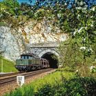 "122" auf einem Schild. Eine alte Lokomotive fährt aus einem Tunnel. Umgebung aus Felsen und blühenden Bäumen.