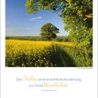 "Der Frühling ist eine echte Auferstehung, ein Stück Unsterblichkeit." - Henry David Thoreau. Landschaftsfoto: gelbes Feld.