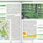 ERLEBNISTOUREN: Frühling im Auwald mit Bärlauchblüte. Mensch und Schwänzchen Glück: Tiergehege Wildpark.