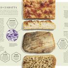 Focaccia und Ciabatta: Beschreibung der Brote, Teigbearbeitung und Unterschiede zwischen Poolish und Biga.