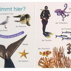 Buchinnenseite mit Meerestieren: Qualle, Möwe, Seehund, Wal, Taucher, Tintenfisch, Delfin. Text: "Wer schwimmt hier?"