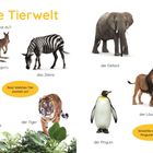 Text: "Weite wilde Tierwelt", "Schau, so viele wilde Tiere! Welche kennst du?" Tiere: Giraffe, Känguru, Zebra, Elefant, Papagei, Schlange, Schimpanse, Tiger, Löwe, Pinguin, Eisbär.