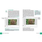 9.2 Die Lasso-Gruppe: Lasso-Werkzeuge wie Polygon- und magnetisches Lasso zum Auswählen. Links Beispiel mit Lasso.