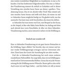 Seite 12 beschreibt die Technik der 20-Sekunden-Visualisierung zur Erfüllung von Wünschen und besseren Lebensqualität.