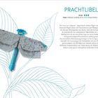 "Prachtlibelle. Niveau: Papier: Kraftpapier, zweifarbig, 20 x 20 cm (Origami-Alufolie, 15 cm x 15 cm)."

Ein Origami einer Libelle sitzt auf einer zeichnerisch dargestellten Pflanze.