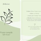 "Kräuterwissen. Wann sammle ich was?" Tabelle zeigt Sammeltipps. Grüne, minimalistische Gestaltung mit Pflanzenillustration.