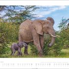 Mai Kalender, 2023. Afrikanische Elefanten: ein großes und ein kleines im Grasland, umgeben von Bäumen.
