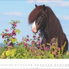 Kalenderblatt Mai, Zahlen: 1–31. Ein Pferd mit langem, braunem Fell steht hinter Pflanzen mit lila Blüten.
