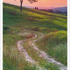 Ein Zitat von Bettina von Arnim. Kalenderseite Mai 2027. Malerische Landschaft mit Baum, sanften Hügeln und Sonnenuntergang.