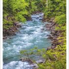 5 | 2027. Ein klarer, sprudelnder Fluss fließt durch einen grünen Wald, umgeben von felsigen Ufern.