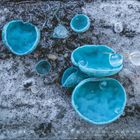 Kalenderdatum "5" unten, blaue, schüsselartige Pilze auf eisigem Boden mit kleinen Eiskugeln.