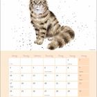 Kalenderblatt für Mai mit Feiertagen: Christi Himmelfahrt am 13., Pfingsten am 23., Fronleichnam am 27. Illustration einer Katze.