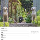 Kalenderseite Juni, Woche 24. Ein Spruch: "Katzen haben gerne offene Türen..." von E.T.A. Hoffmann. Foto: Katze, zwei Hundestatuen am Tor.