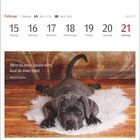 Kalender: Februar, 15. bis 21. Foto: Ein Welpe liegt auf einem weißen Teppich auf Holzboden. Zitat: "Wenn du einen Freund willst, kauf dir einen Hund." - Harry S. Truman.