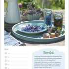 Juni 21-27. Borretsch: Ursprung in Nordafrika. Reich an Nährstoffen, Tipp zur Verwendung von Öl. Tisch mit Blumen und Gefäßen.