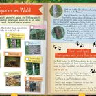 "Spuren im Wald: Im Wald wird gelebt, gearbeitet, gejagt und Erholung gesucht. Geh auf die Suche: Was findest du an menschlichen Spuren im Wald? Spiel und Spaß: Tierspuren mit nach Hause nehmen."