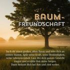 BAUM-FREUNDSCHAFT. Wähle einen großen Baum, lehne dich an, spüre seine Kraft, erzähle ihm Sorgen, danke und zieh weiter.