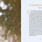 Rechts: "Es weihnachtet sehr" von Theodor Storm. Erzählung über Weihnachtsvorbereitungen und Kindheitserinnerungen. Links: Tannenzweig im Licht.