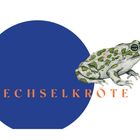 Text "WECHSELKRÖTE" über blauem Halbkreis. Daneben ist eine Illustration einer grün gefleckten Kröte.